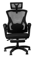 SILLA GAMER RAPTOR THRONE S10 NEGRA
